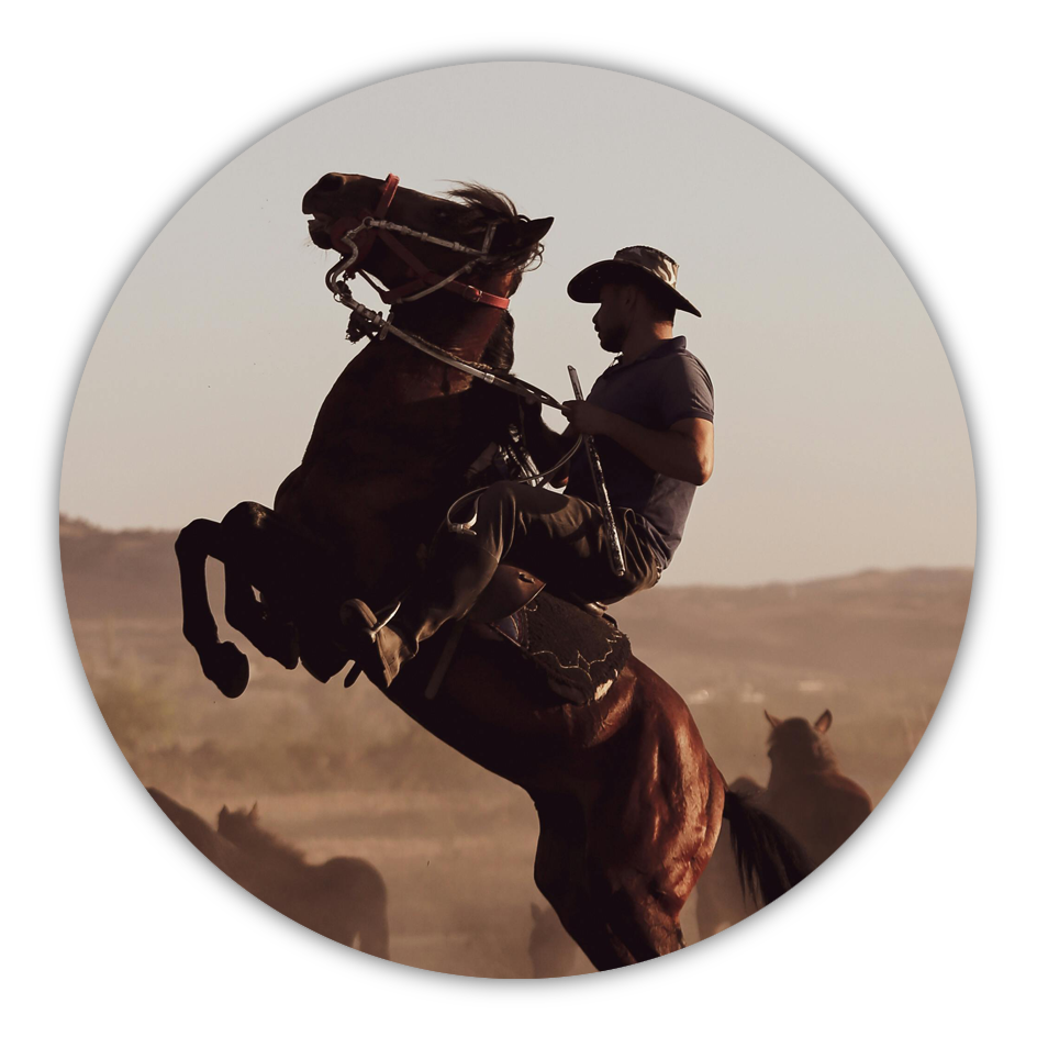Invitación digital bodas